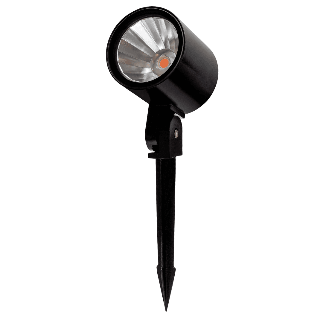 555PS – 24W