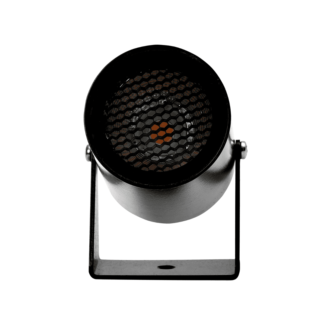 336P – 6W